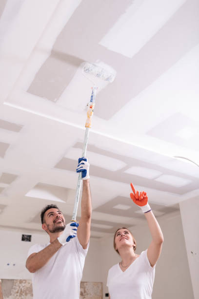 Best Mold Remediation for Healthcare Facilities  in Parsons, WV
