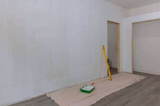 Best Real Estate Mold Inspection  in Parsons, WV