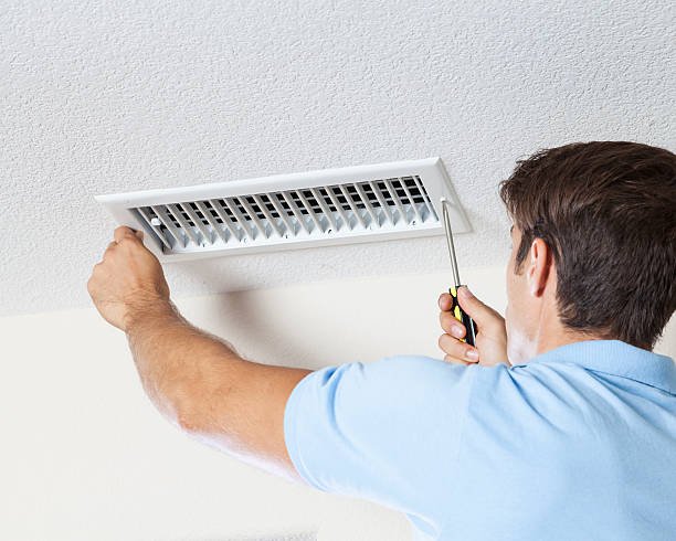 Best Industrial Mold Remediation  in Parsons, WV